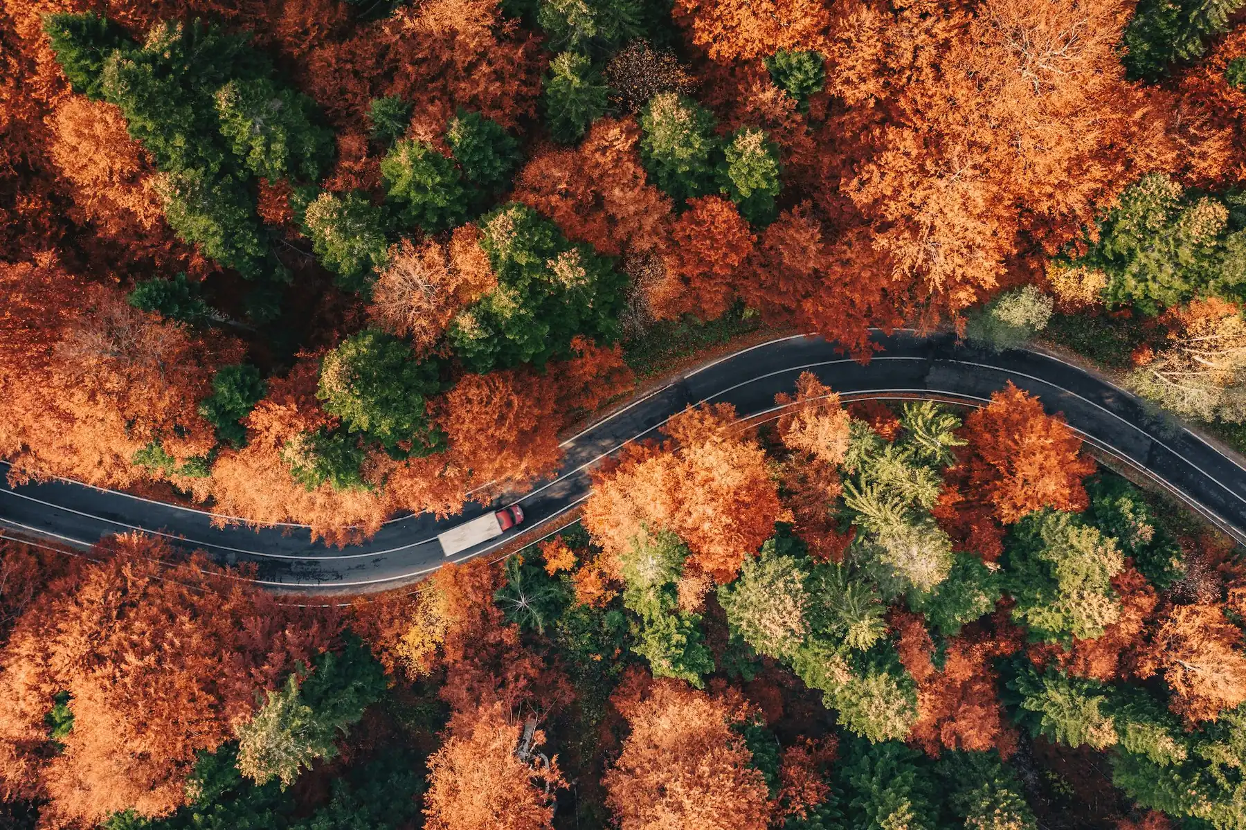 Vue du ciel d'une route qui traverse une forêt en automne